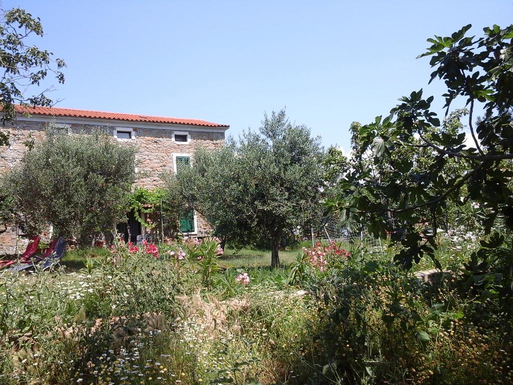 Kmetija Medljan Villa Izola Dış mekan fotoğraf